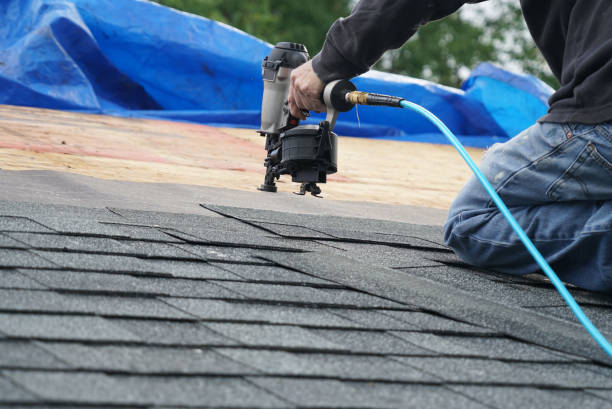 Best Roof Insulation Installation  in Pleasanton, KS